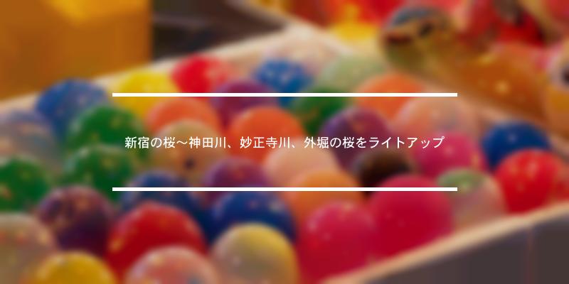 新宿の桜～神田川、妙正寺川、外堀の桜をライトアップ 2019年 [祭の日]