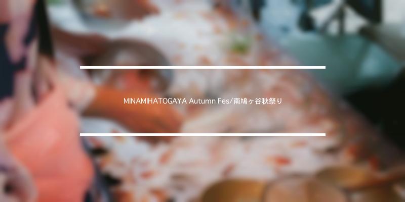 MINAMIHATOGAYA Autumn Fes/南鳩ヶ谷秋祭り 2022年 [祭の日]