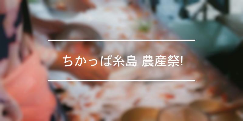 ちかっぱ糸島 農産祭! 2023年 [祭の日]
