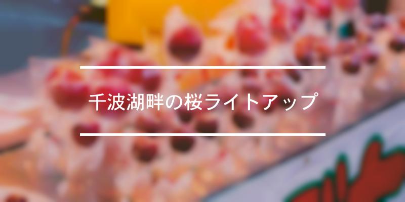 千波湖畔の桜ライトアップ 年 [祭の日]