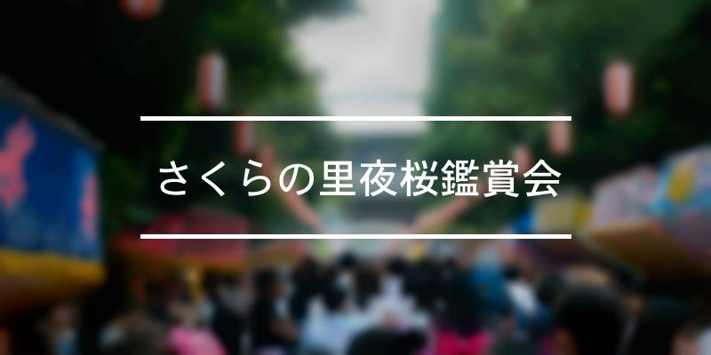 さくらの里夜桜鑑賞会 2024年 [祭の日]