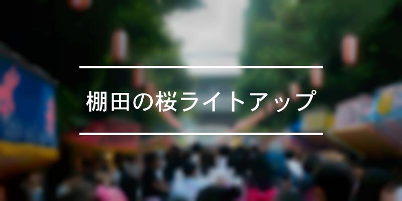 棚田の桜ライトアップ 年 [祭の日]