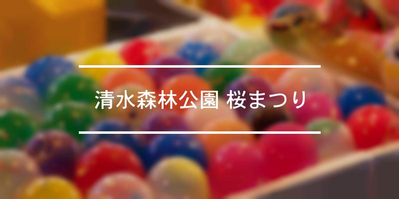 清水森林公園 桜まつり 2024年 [祭の日]