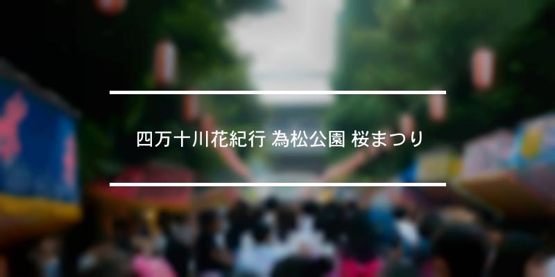 四万十川花紀行 為松公園 桜まつり 2023年 [祭の日]