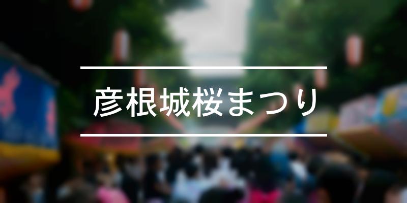 彦根城桜まつり 2024年 [祭の日]
