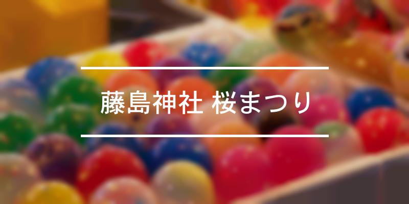 藤島神社 桜まつり 2023年 [祭の日]
