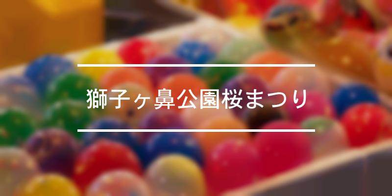 獅子ヶ鼻公園桜まつり 2024年 [祭の日]