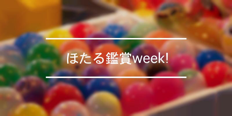 ほたる鑑賞week! 年 [祭の日]