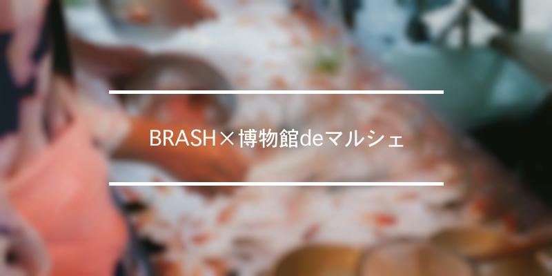 BRASH×博物館deマルシェ 2022年 [祭の日]