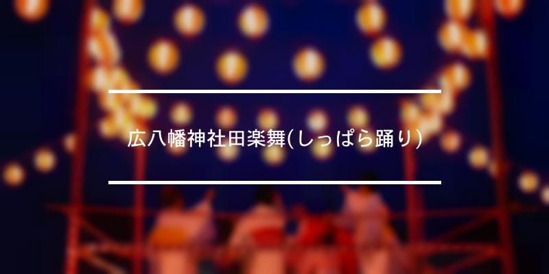 広八幡神社田楽舞(しっぱら踊り) 2022年 [祭の日]
