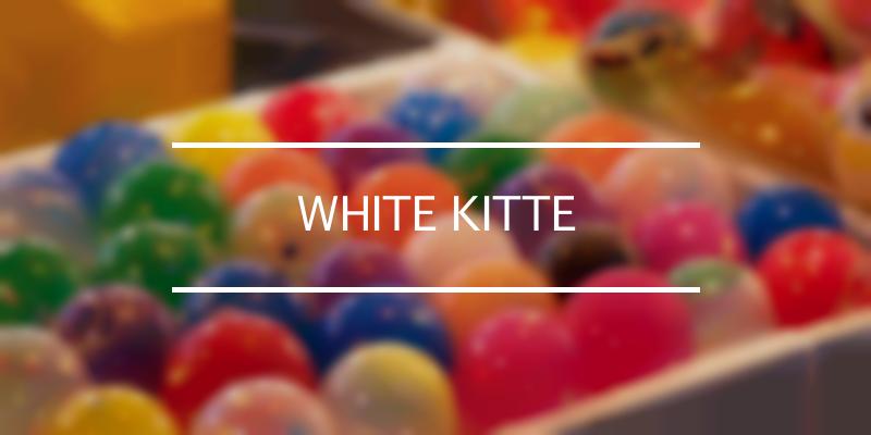 WHITE KITTE 2023年 [祭の日]