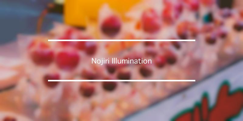 Nojiri Illumination 年 [祭の日]
