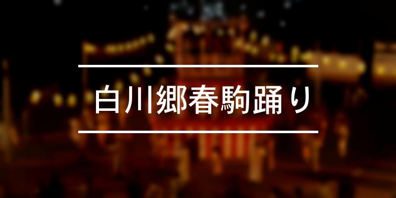 白川郷春駒踊り 2024年 [祭の日]