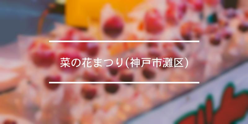 菜の花まつり(神戸市灘区) 2024年 [祭の日]