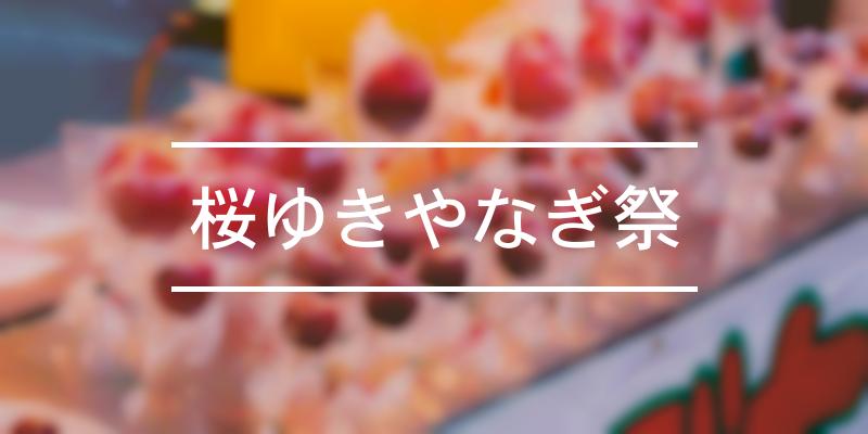 桜ゆきやなぎ祭 2024年 [祭の日]