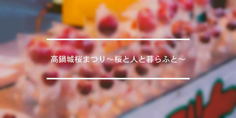 高鍋城桜まつり～桜と人と暮らふと～ 2024年 [祭の日]