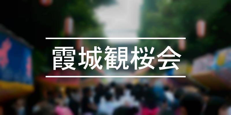 霞城観桜会 2024年 [祭の日]