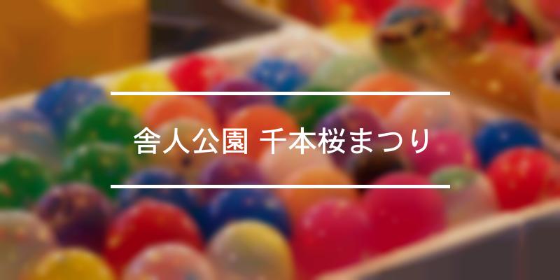 舎人公園 千本桜まつり 2023年 [祭の日]