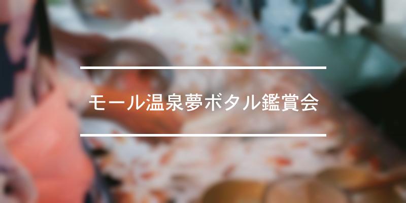 モール温泉夢ボタル鑑賞会 2023年 [祭の日]